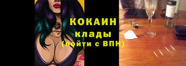 гидропоника Новозыбков