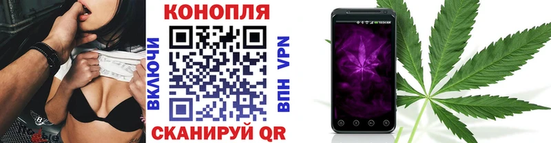 сколько стоит Обоянь Шишки марихуана Amnesia